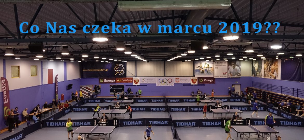 marcu 2019