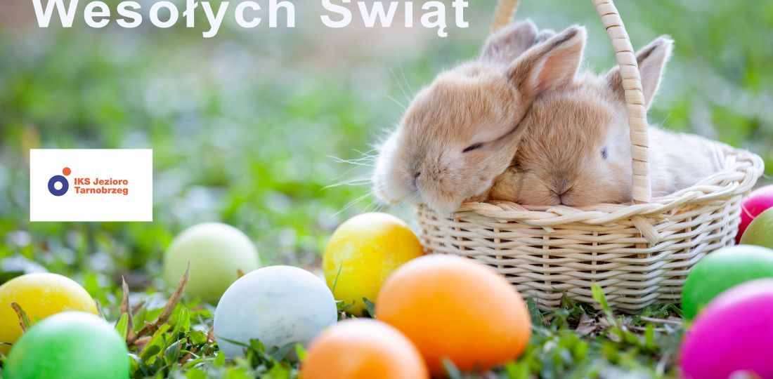 Cute little bunny sleeping in the basket and easter eggs in the meadow